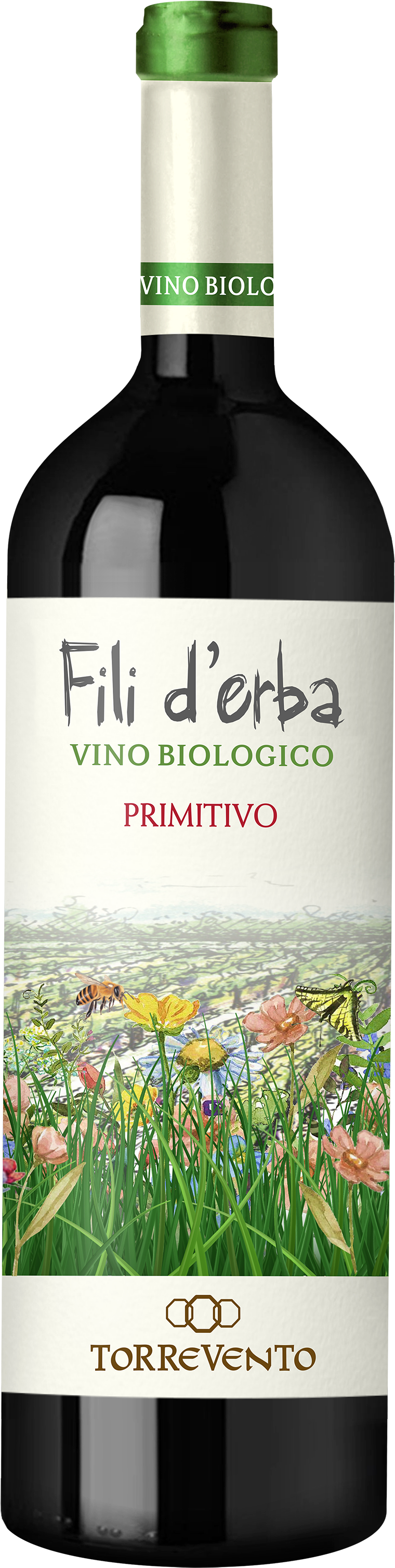 13% IGT Apulien aus Fili Torrevento Bio Puglia - | - 0,75l Primitivo Erba d\' 2020 - - Rotwein