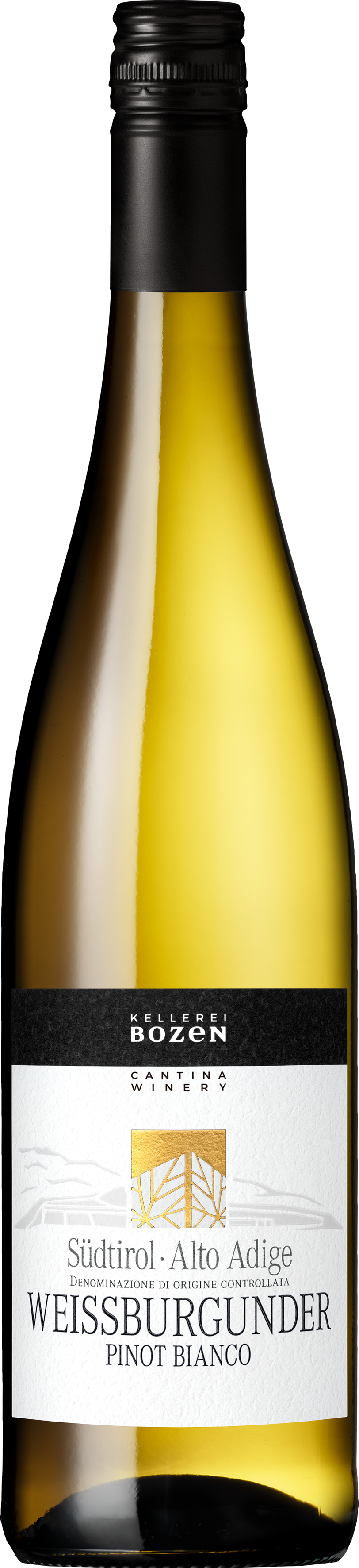 Bozen Weissburgunder Adige Südtirol Alto aus Pinot - | Bianco 2022 13% Südtirol Weißwein 0,75l Kellerei - DOC