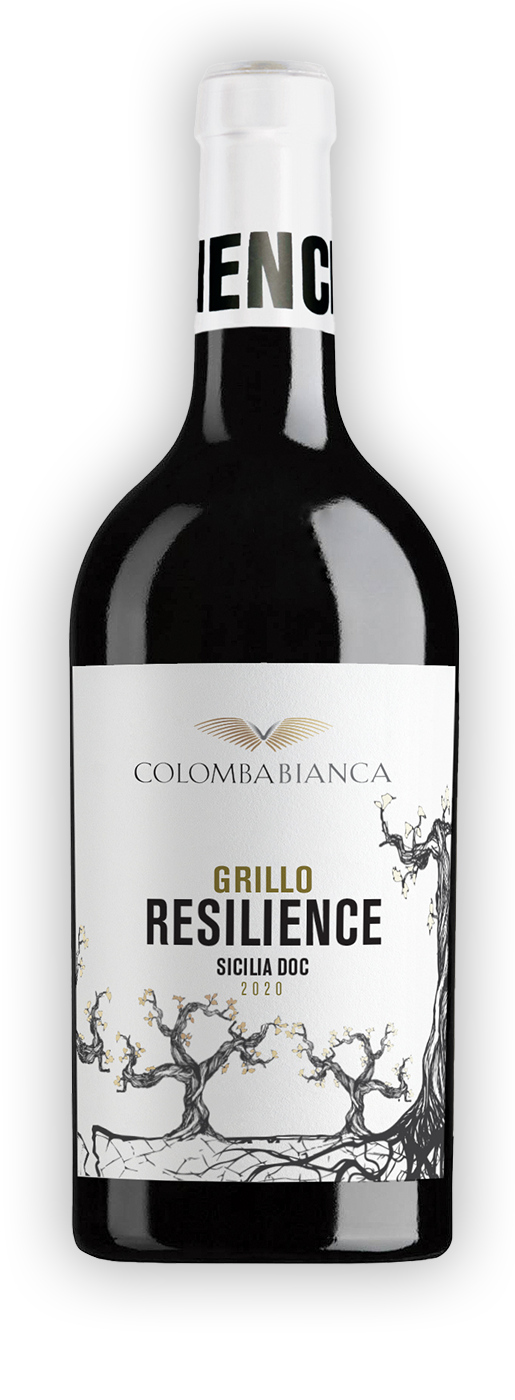 Resilience Grillo Sicilia DOC 0,75l 13% - 2021 | Colomba Bianca - Weißwein  aus Italien