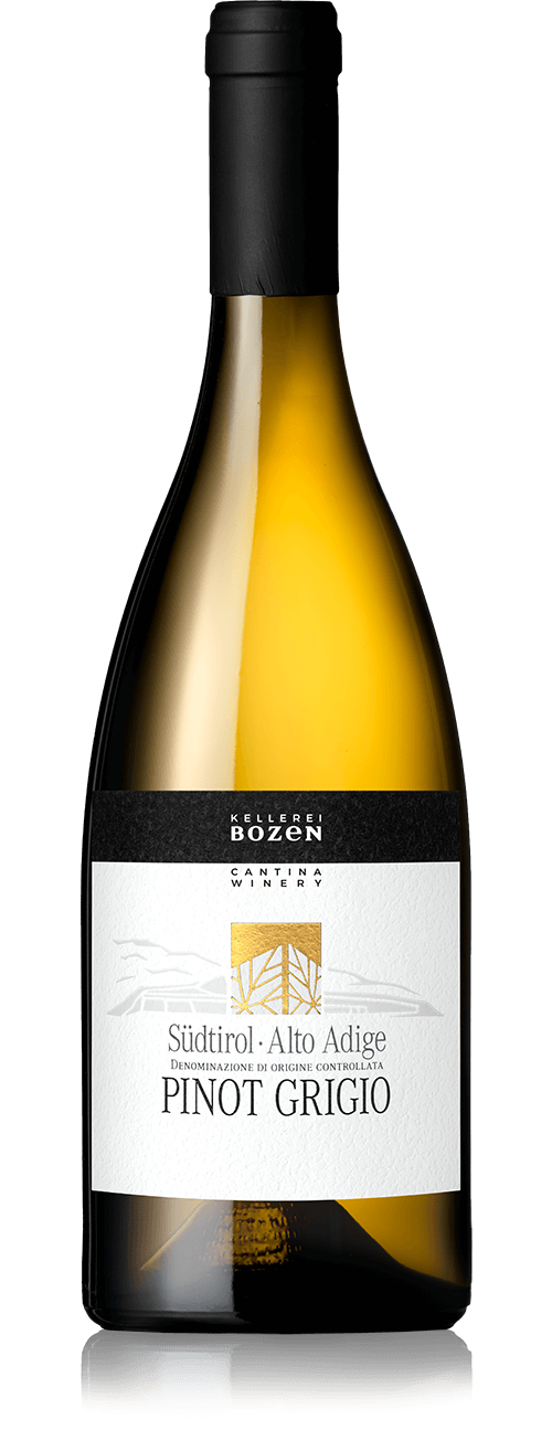 Pinot Grigio Südtirol Alto Adige DOC 0,75l 13,5% - 2022| Kellerei Bozen -  Weißwein aus Südtirol