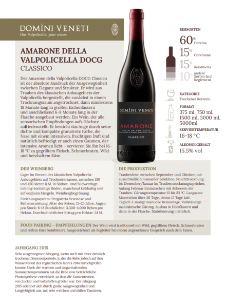 Amarone della Valpolicella DOCG Classico Domini Veneti 0,75l 15,5% - 2018 /Negrar