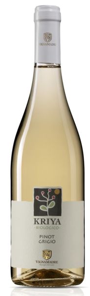 Pinot Grigio Terre di Chieti IGP Kriya BIO 0,75l 12,5% - 2022 | Vigna Madre