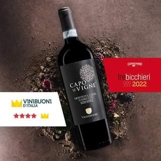 Montepulciano d'Abruzzo DOC Capo le Vigne 0,75l 14% - 2018 | Vigna Madre